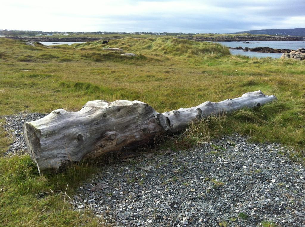 Teach Donncadh B&B Kincasslagh Exteriér fotografie